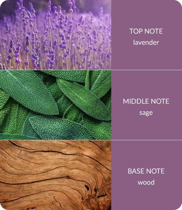 Lavender and Sage Reed Diffuser - 70ml - Up to 12 Weeks of Fragrance